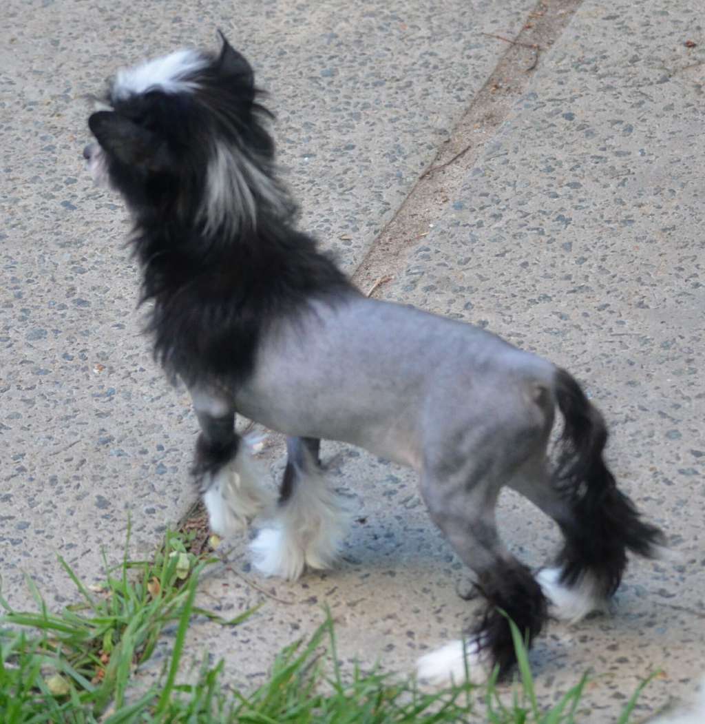 Magic of Success Suzanne