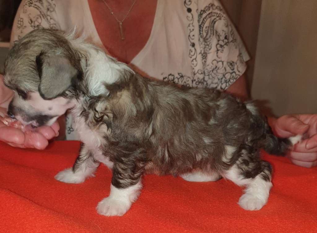 Epadalens Who Made Who