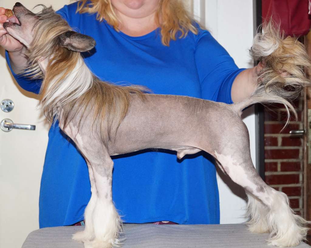 Sun Dan Finnish Design