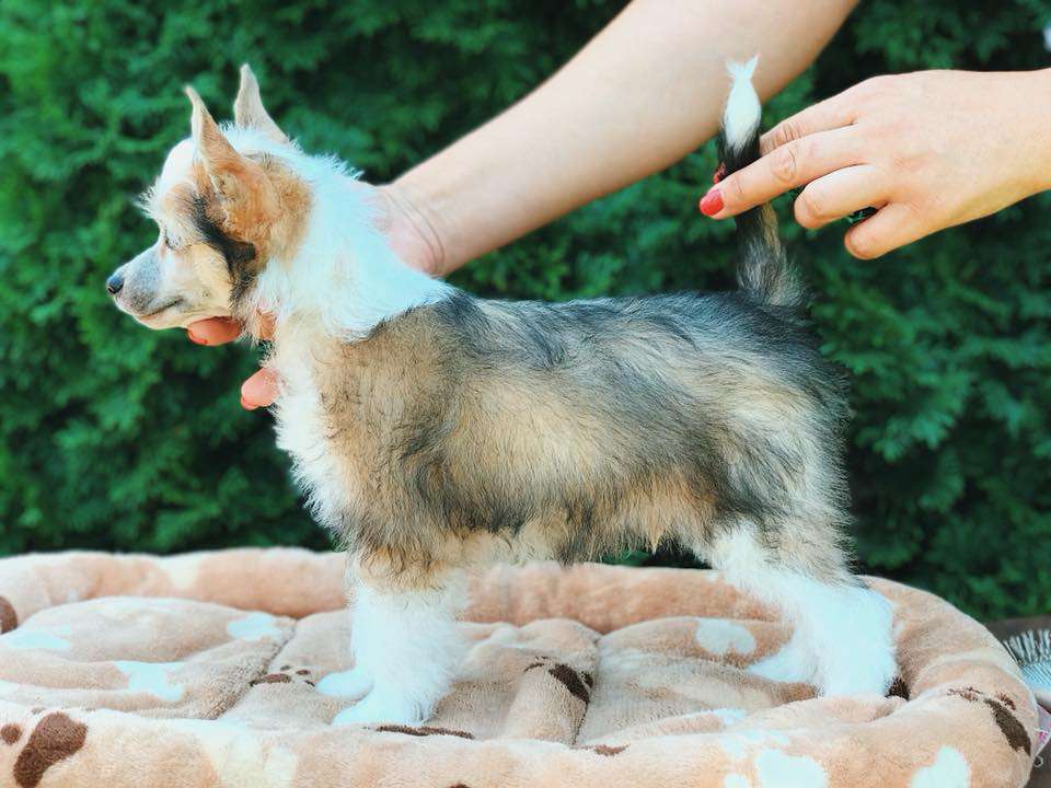 AkDeniz Now Or Newer