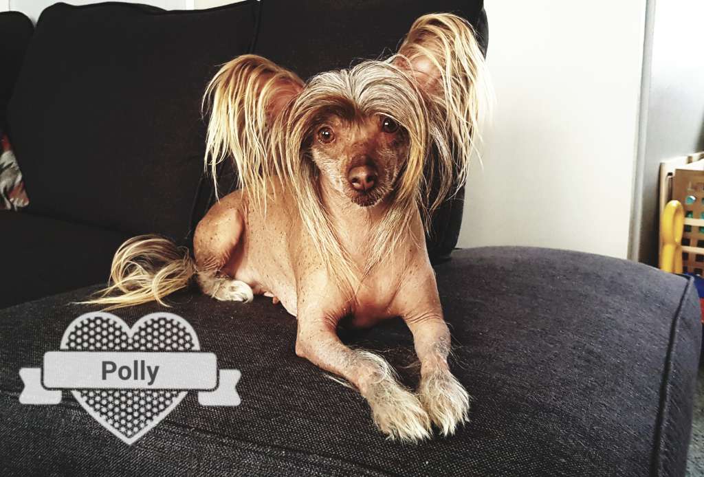 Gemsofjade Caramel Girl