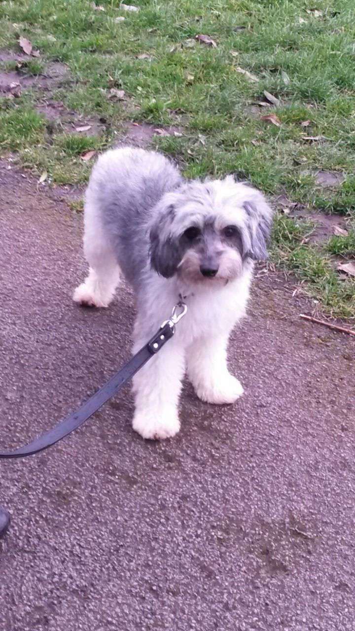 Khanor in by midnight