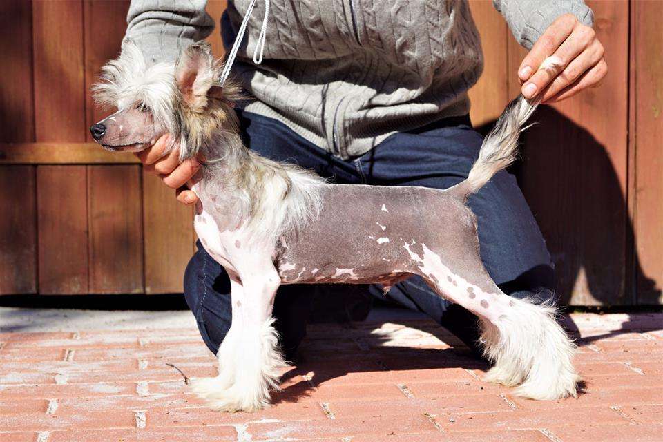 Journey To Fantasy Heybett