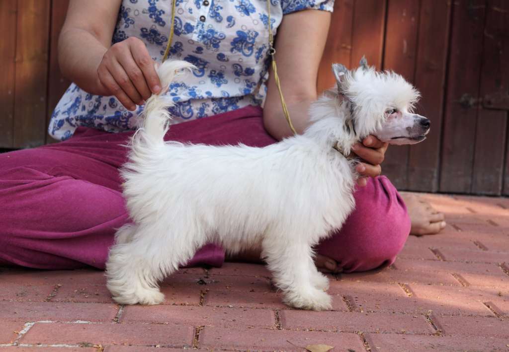 Just An Illusion Heybett