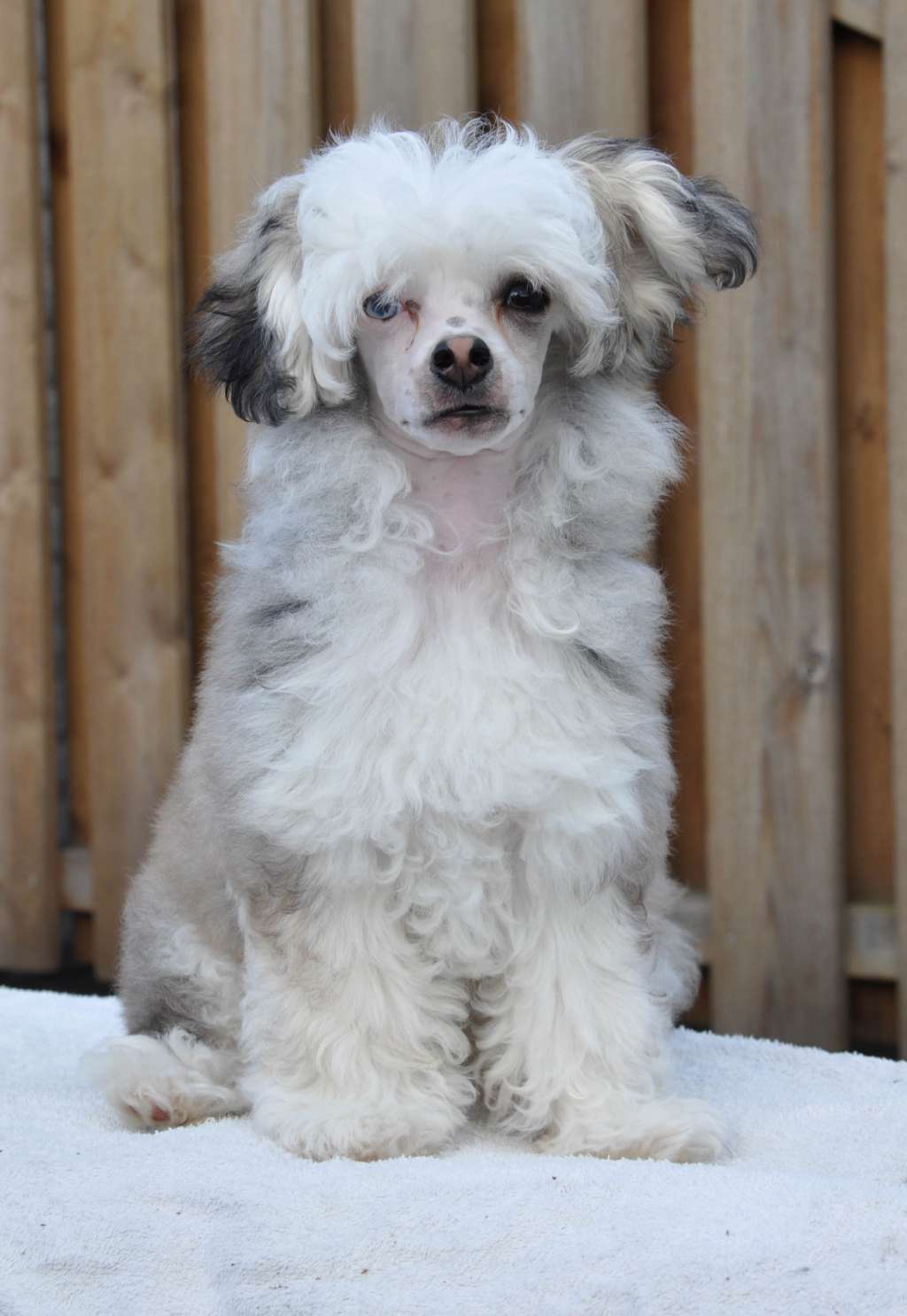 Wildeers Classic Peppermint