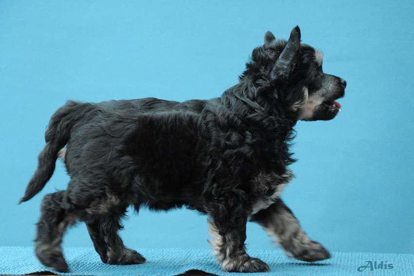 Practical Hero Upload Me