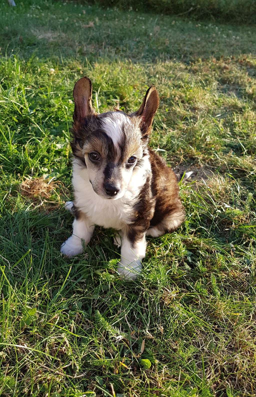 Myrtans Suns Out Guns Out