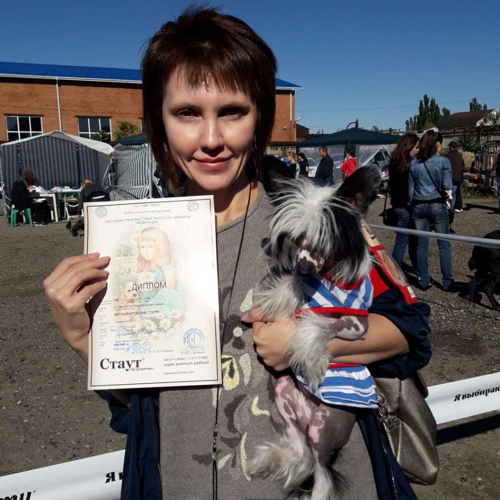 HitLine Ltd Love Story