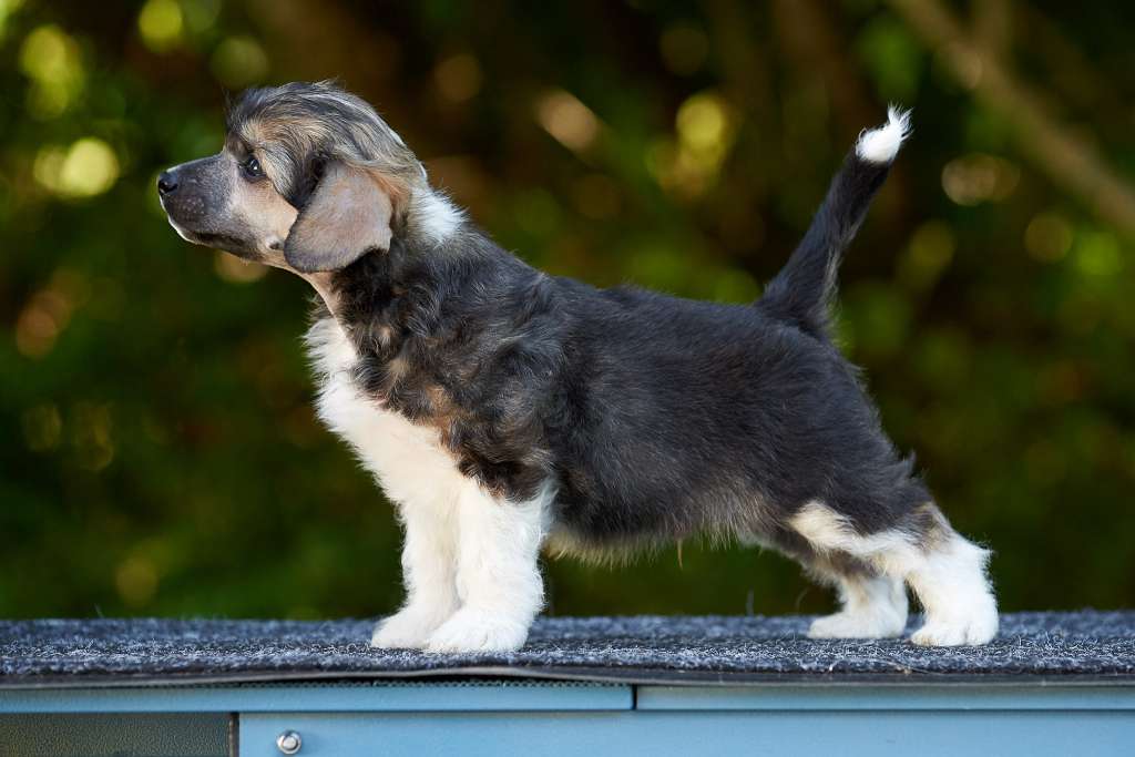 Sirocco Heat On The Street