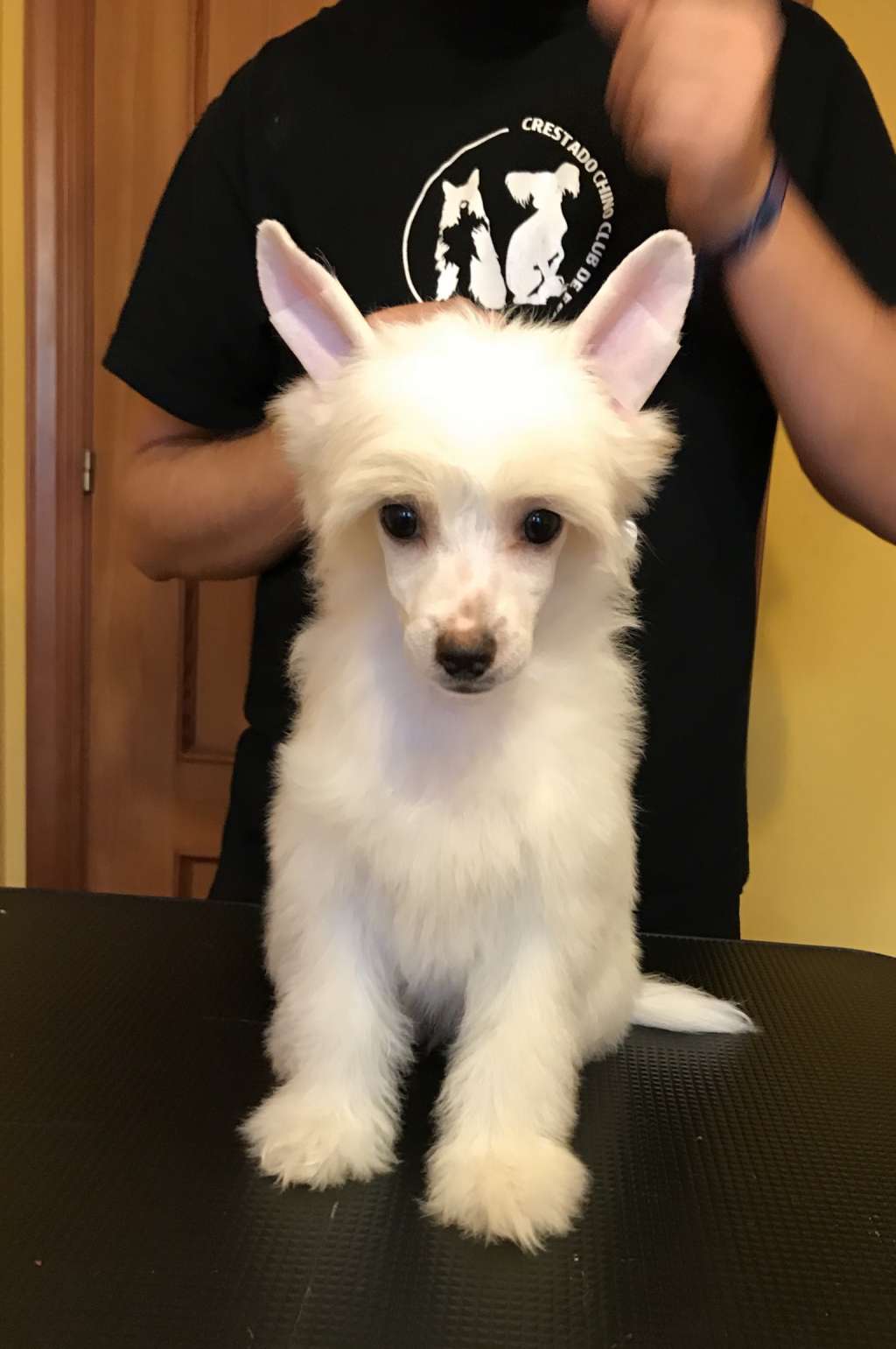 De Cabanelas Agarimo