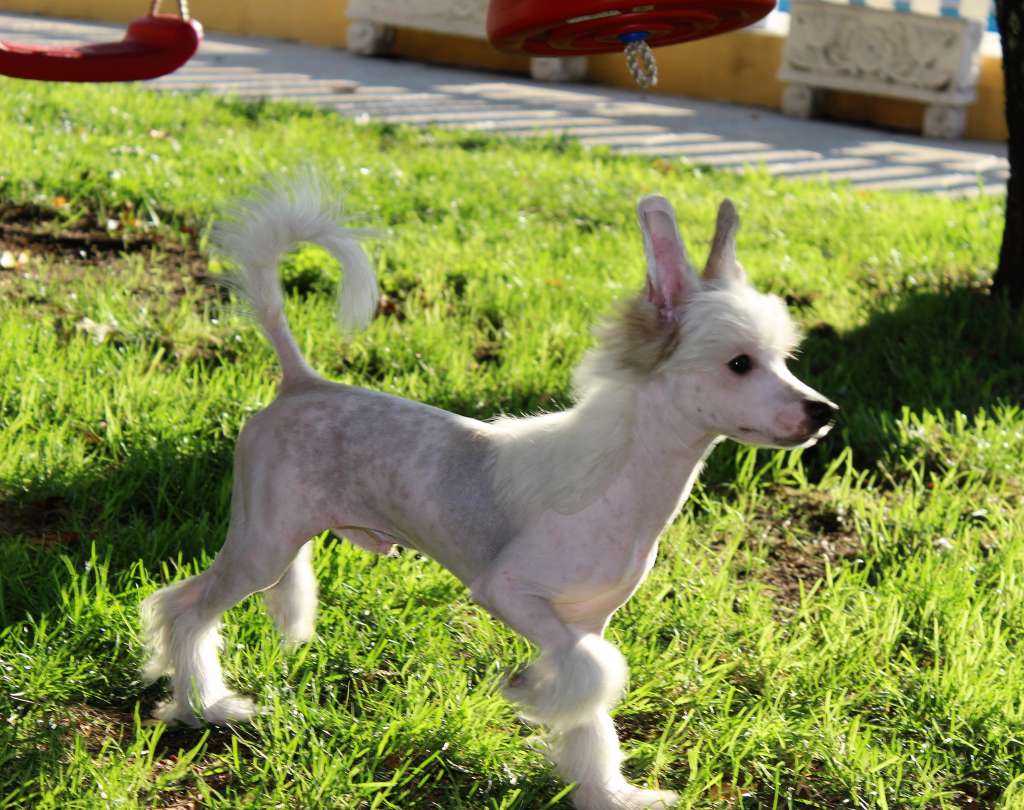 De Cabanelas Feitizo