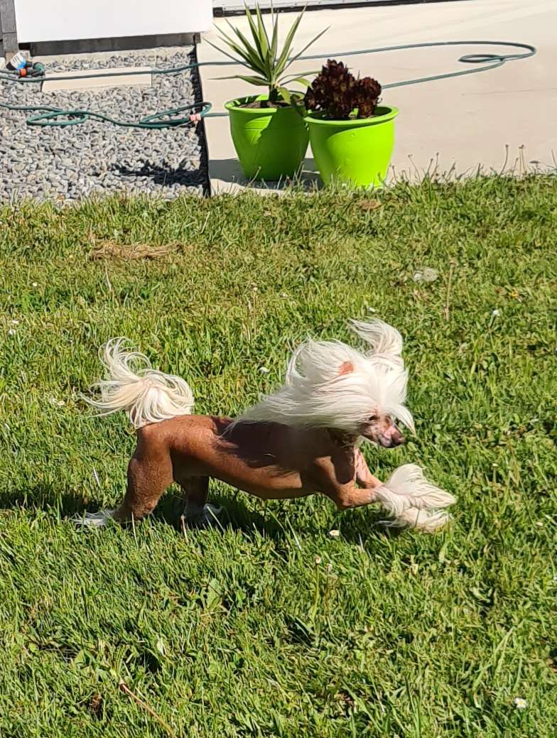 Koreke Versace On The Floor