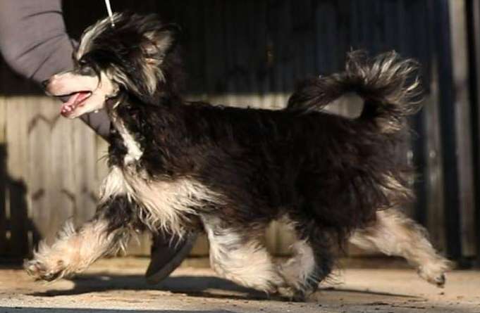 Klearly Showin' Narcissistic Tendencies