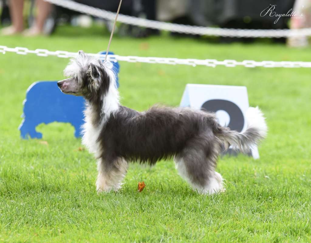 Black-Diva's Merry Meet