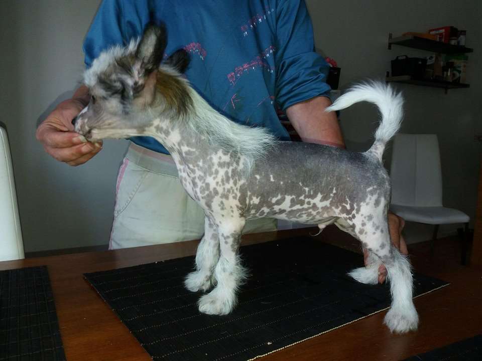 Black-Diva's Sheriff