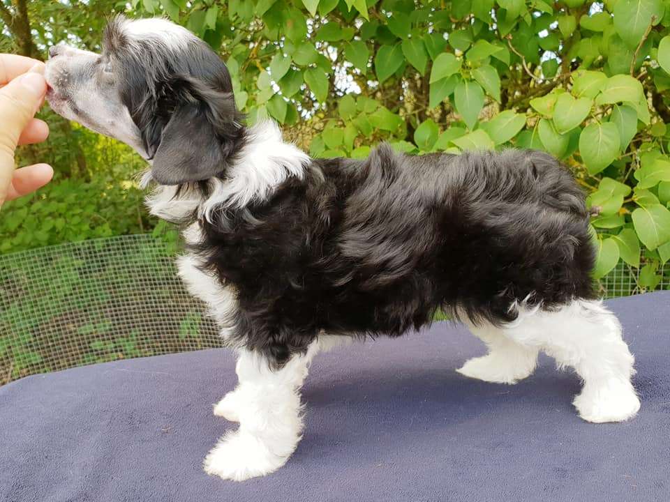 Lusiras Darling You're Gorgeus