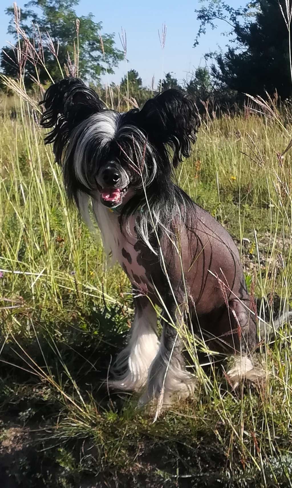 Keanu Reeves Di Rabozi