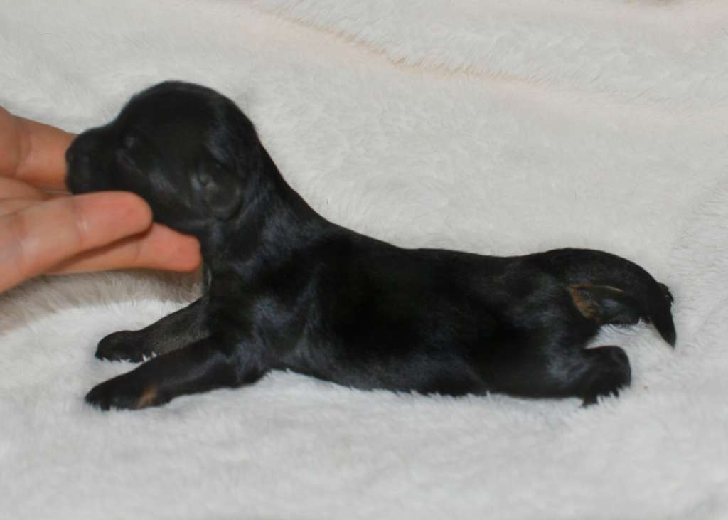 Magic of Success Eenjoy Every Moment