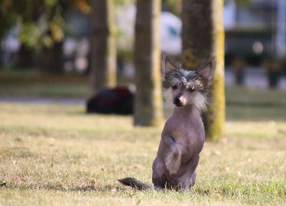 Xclusive Avonaco Diamond Place