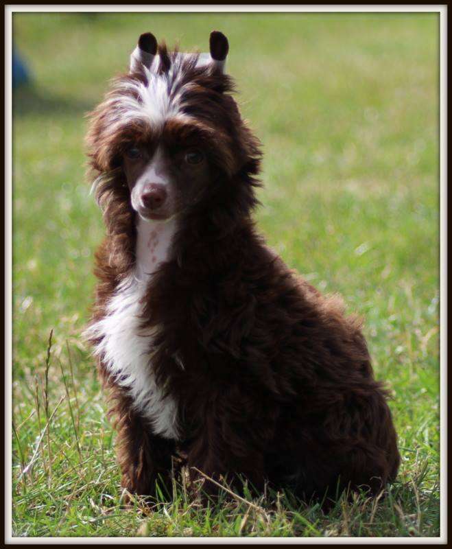 Oui Madame de Fragonnard Of Pastime Paradise