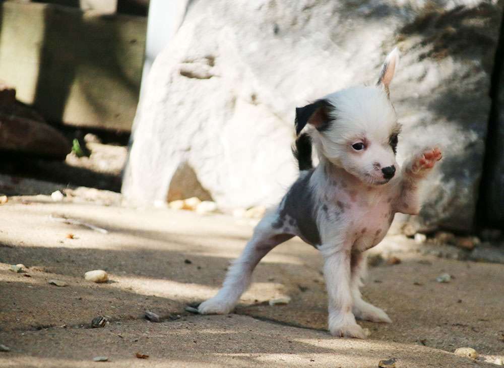 Xquisite Akilah  Diamond Place