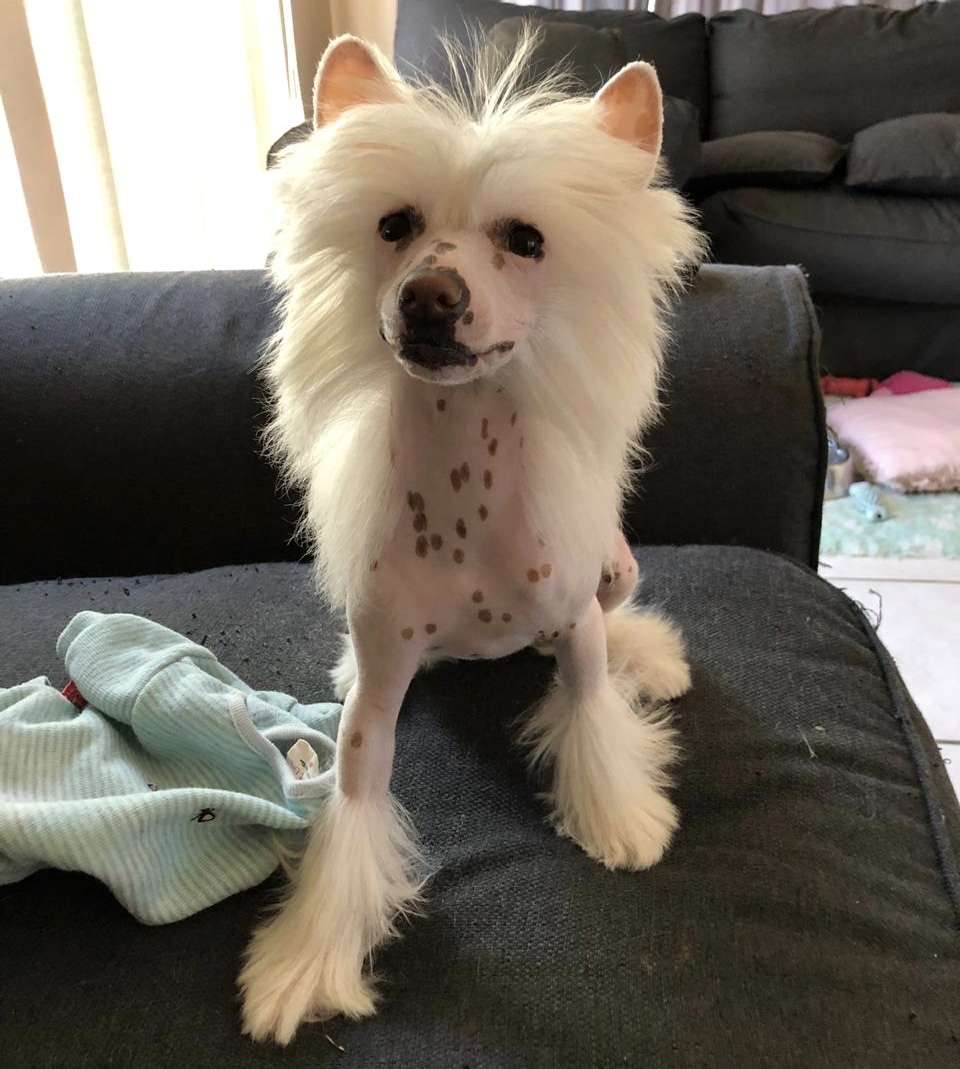 Krescendo Earth Angel