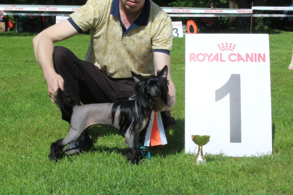 Charuyuschiy Soblazn Graceful Valery