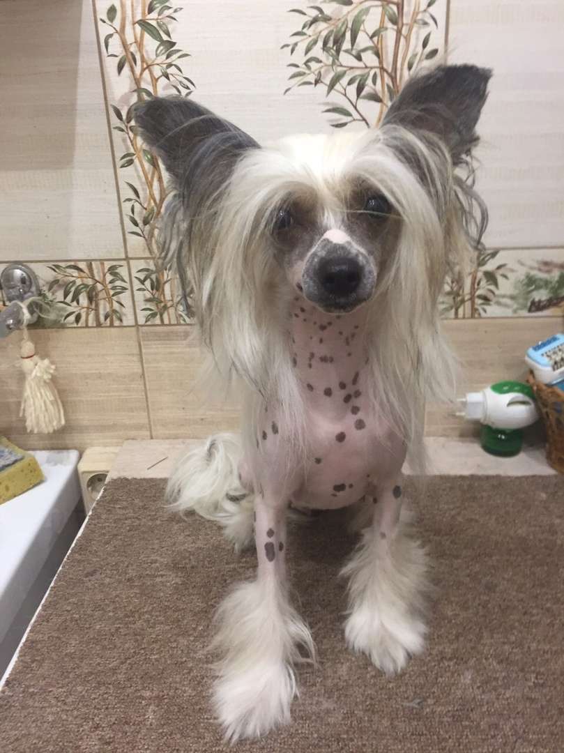 Colombina Dolce Sole