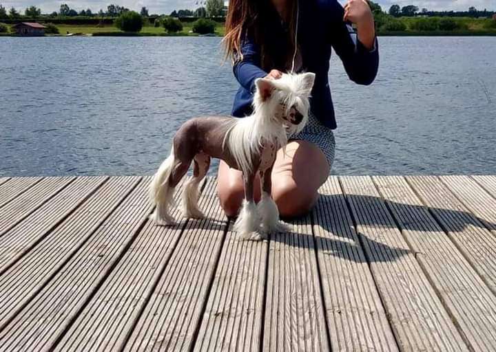 Made My Day von Shinbashi