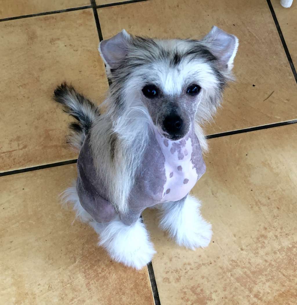 Oilily von Shinbashi