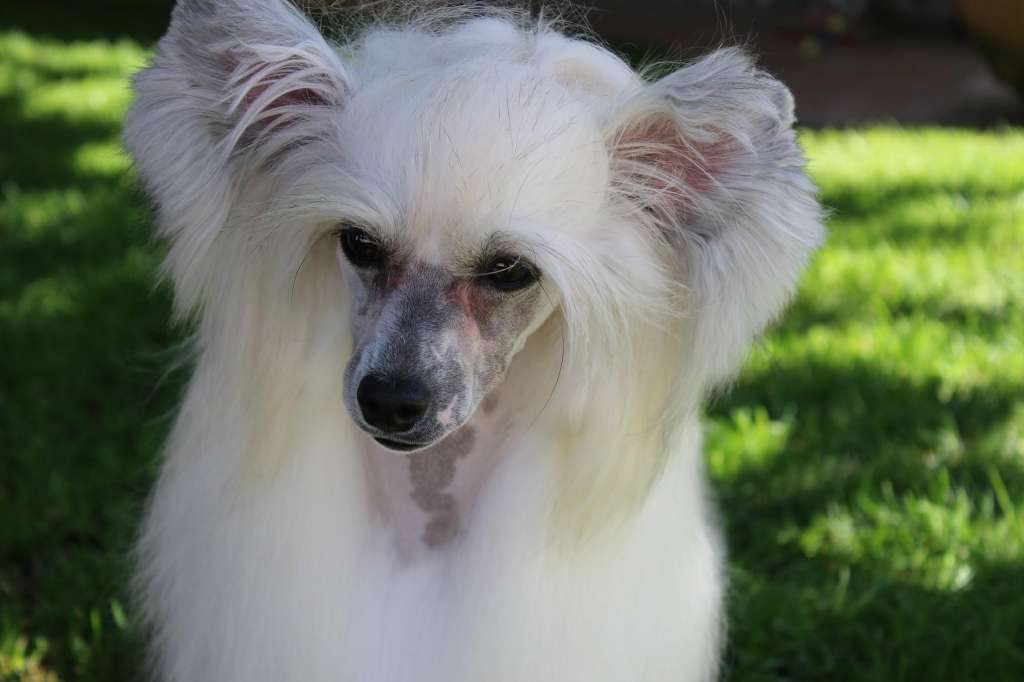 Our Legacy von Shinbashi