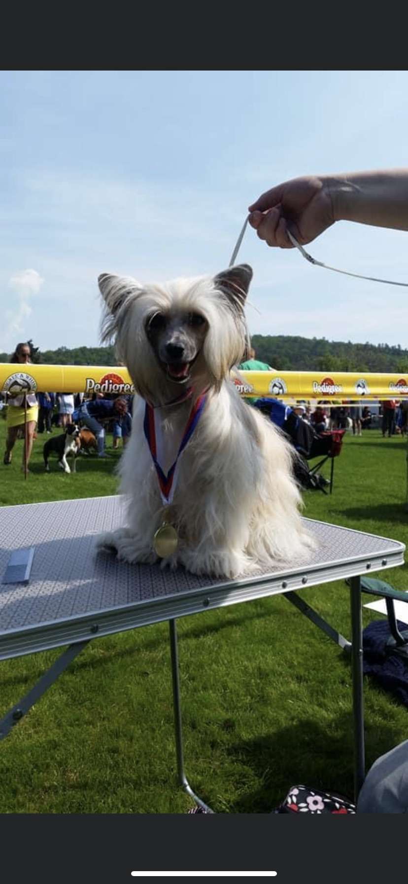 Ultra z Jasne hvezdy