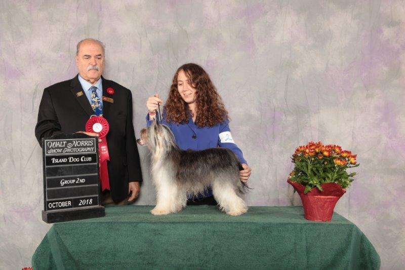 Wintales Princess Fiona