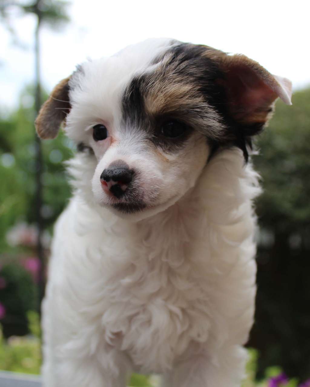 Snoaire's So NOT Vanilla