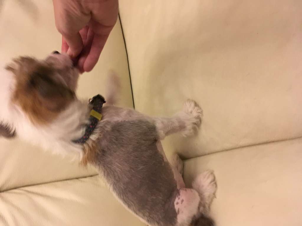 Tuuliharjan Annabella