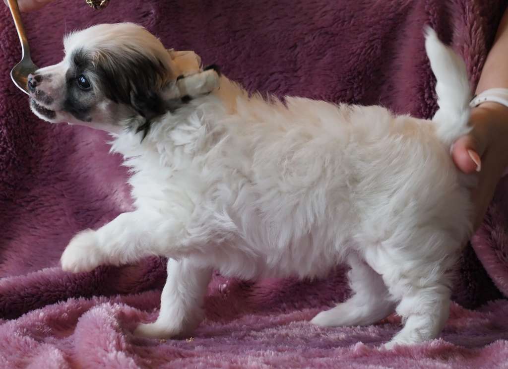 Aqua Lion's Leonardo Emblas 1.