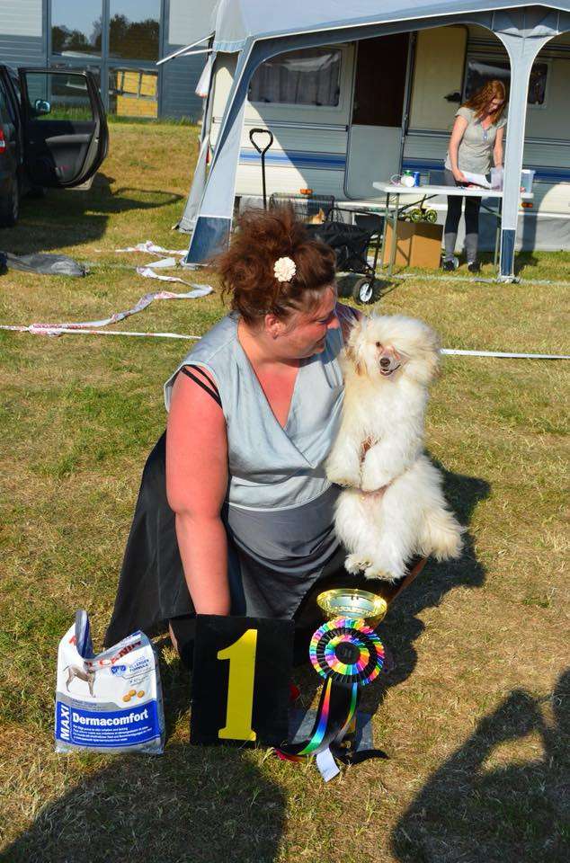 bobbelpops amazing wonderboy