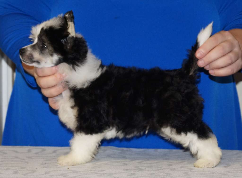 Sun Dan Backstreet Boy