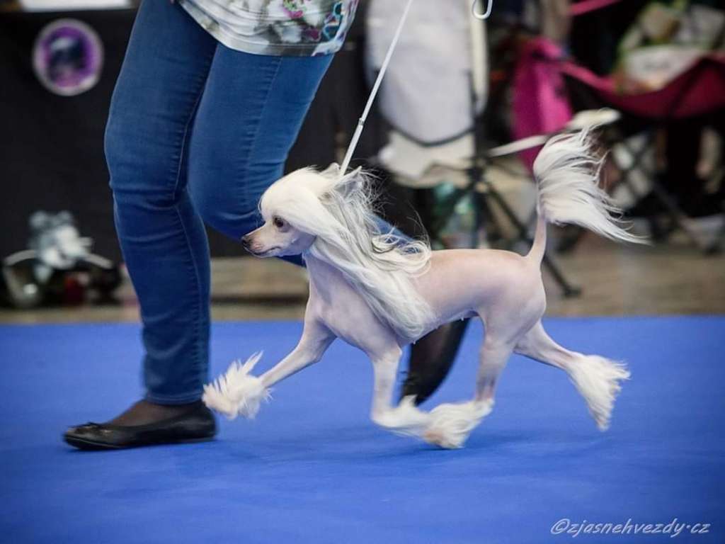 Whisper by Bubbling Spirit Gattaca