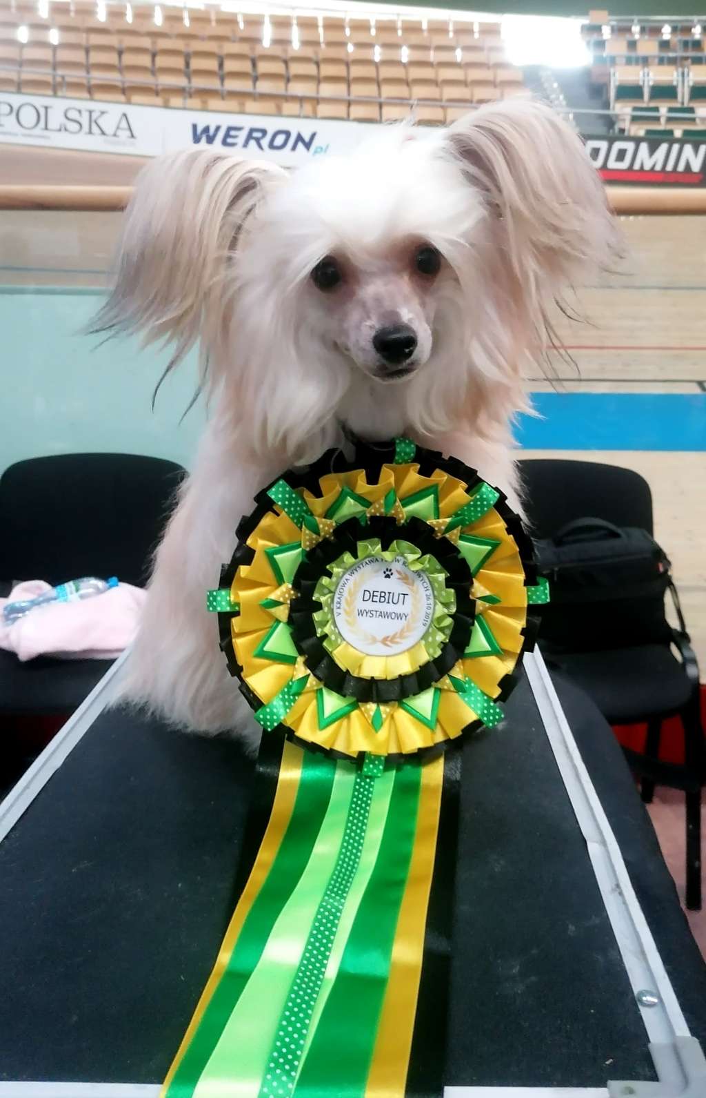 Waara Vavoom Gattaca