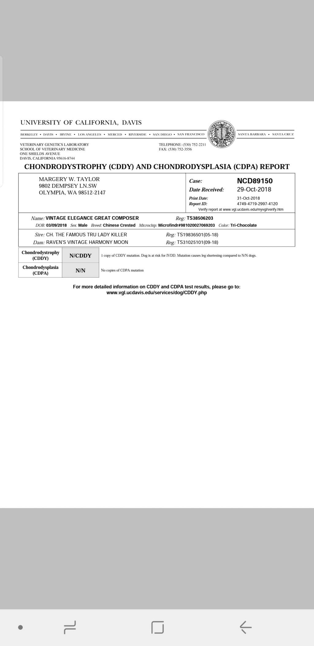 Vintage Elegance Great Composer