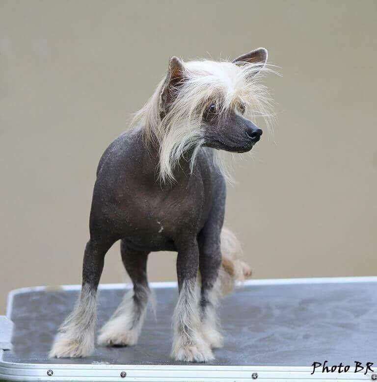 Madona Strike A Pose (Cantarell)