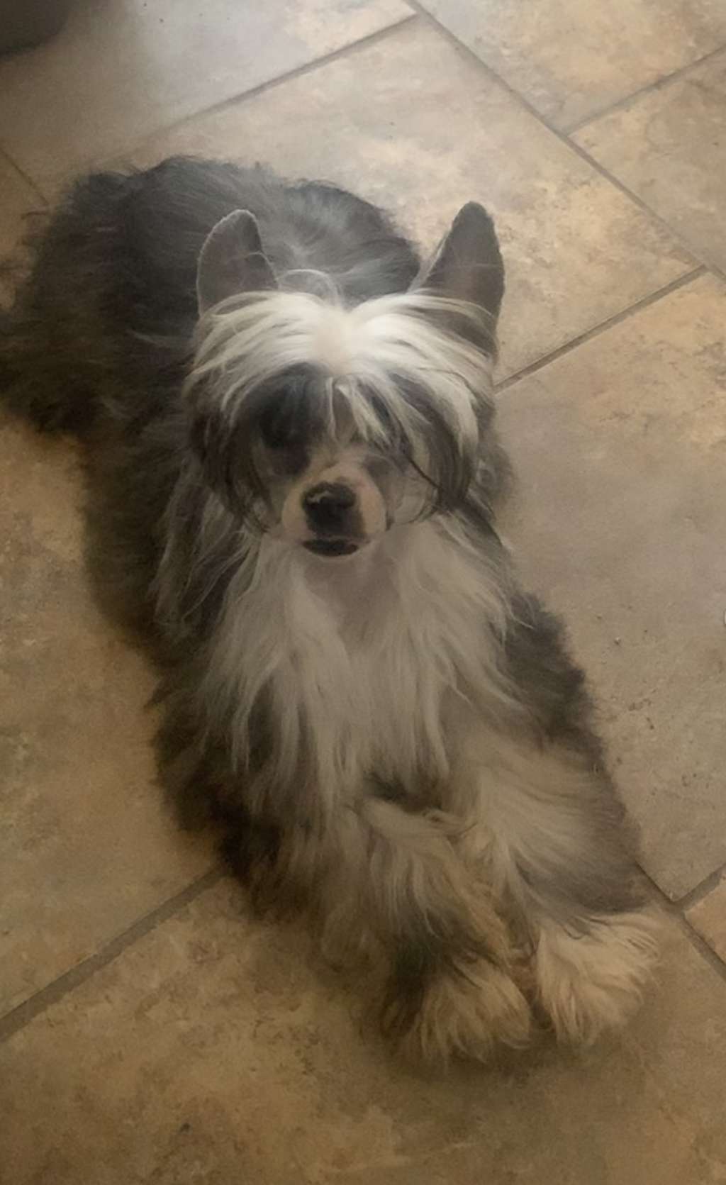 deBahTrio's Spiritual La Llarona