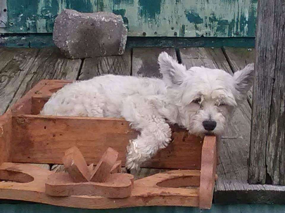 Courtney's Jon Bon Jovi Boy