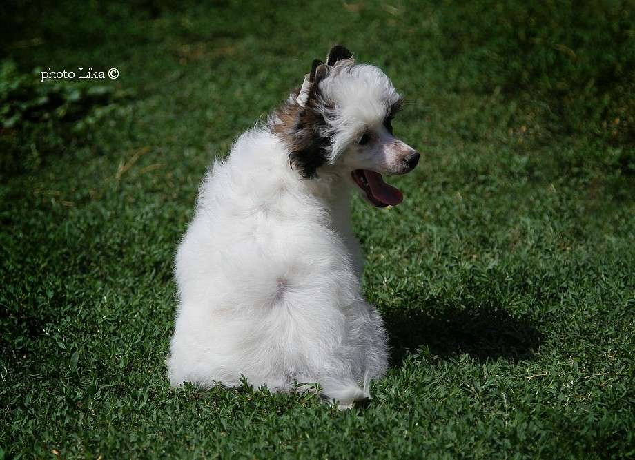 Family Mar'S  Odri  Tatu