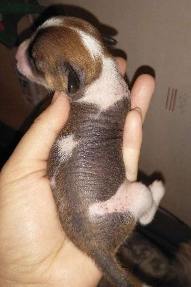 Family Mar'S Yamayskiy Rom