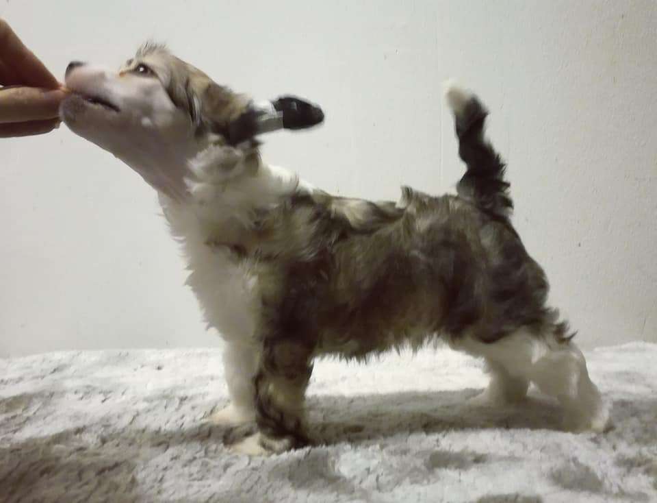 Naked Stars Trick Or Treat Smell My Feet