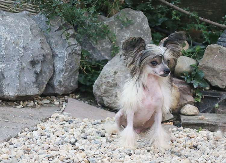 Valesca Vittoria Diamond Place