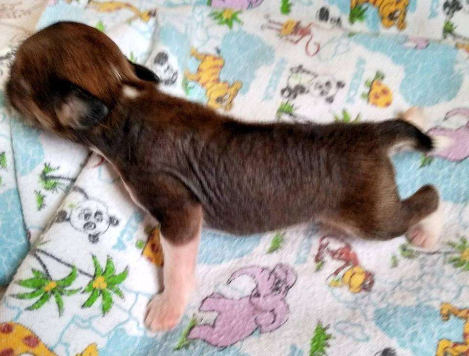 Family Mar'S  Yantarnaya Businka