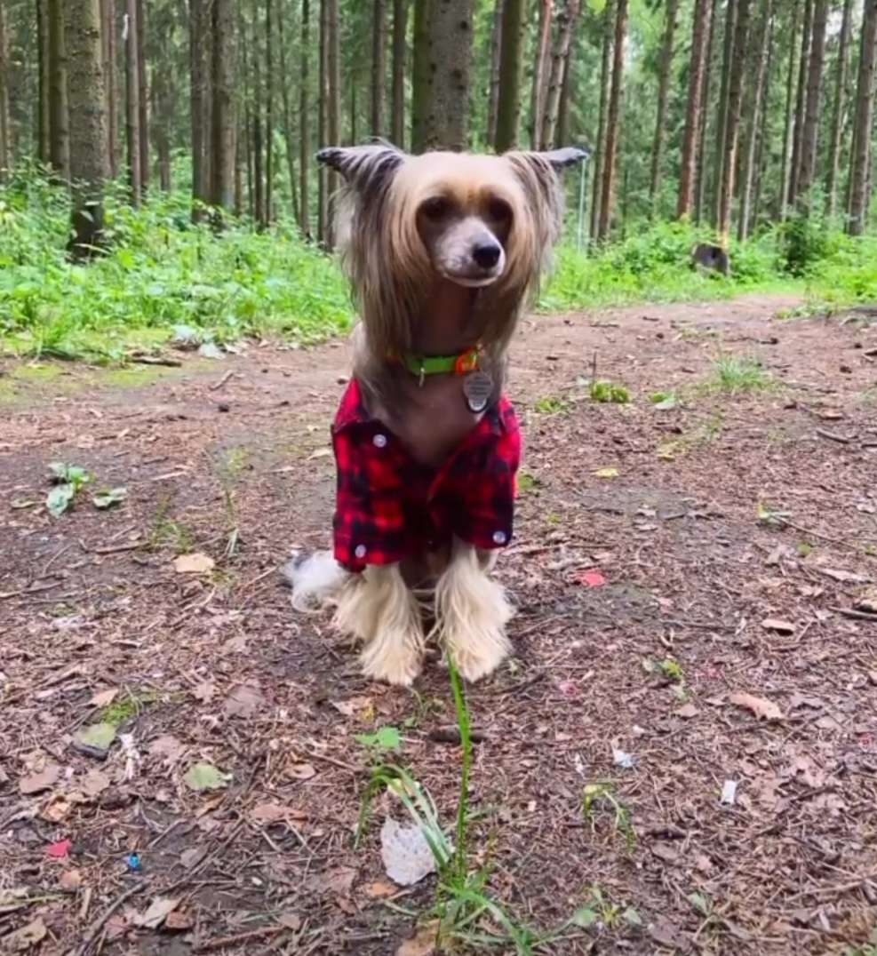 Rolana Family You the best in my life